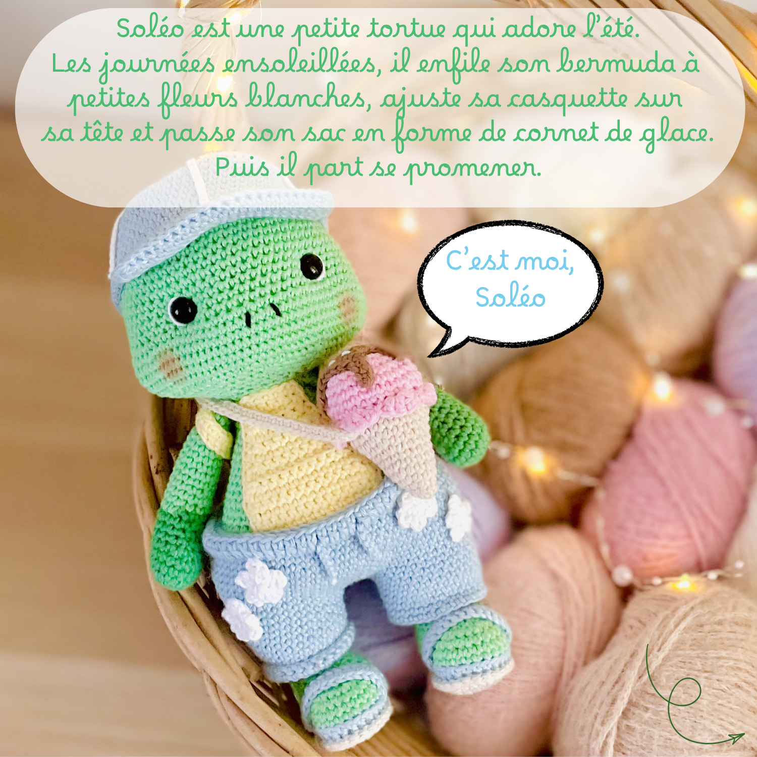 Soléo la tortue - Patron au crochet PDF – Image 4