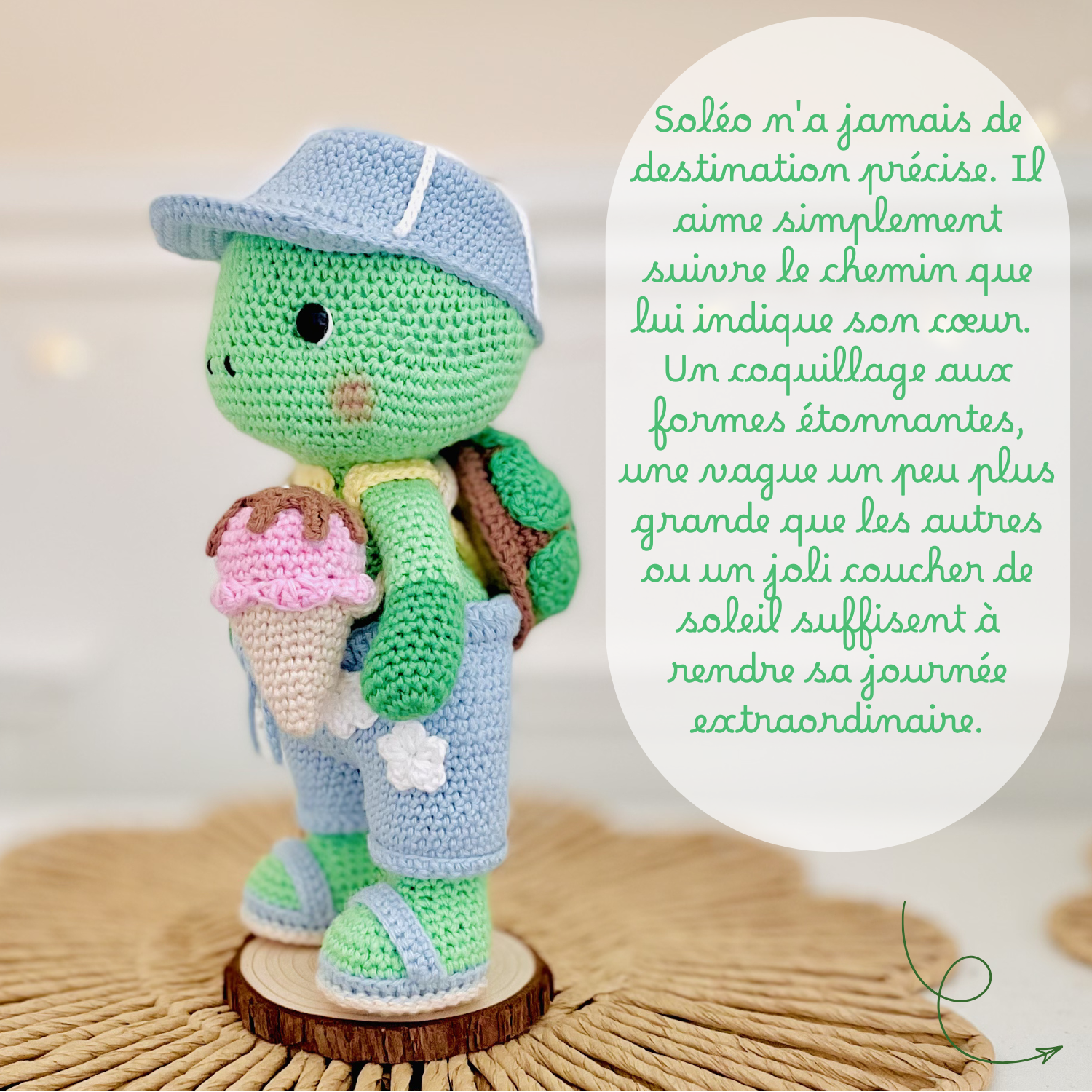 Soléo la tortue - Patron au crochet PDF – Image 5
