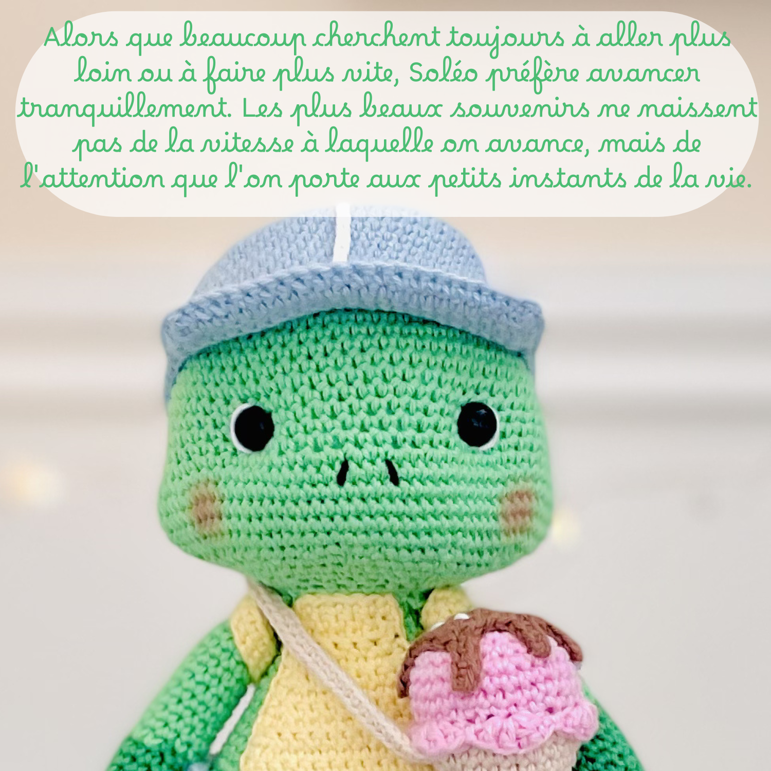 Soléo la tortue - Patron au crochet PDF – Image 6